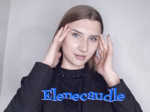 Elenecaudle