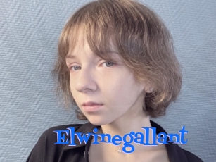 Elwinegallant