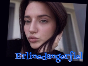 Erlinedangerfiel
