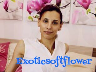 Exoticsoftflower