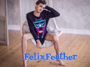 FelixFeather