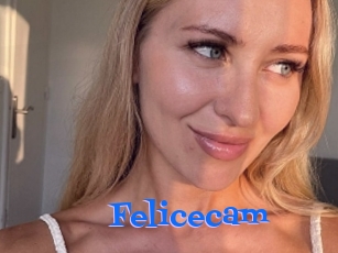 Felicecam