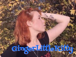 GingerLittleKitty