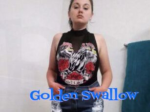 Golden_Swallow