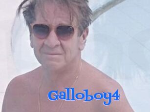 Galloboy4