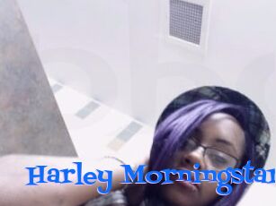 Harley_Morningstar