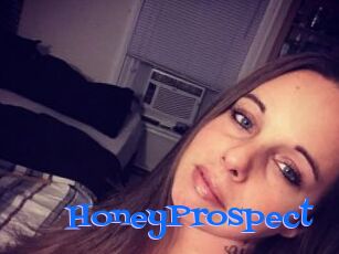 HoneyProspect