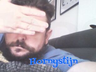 Hornystijn