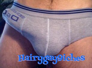 Hairygay9iches