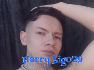 Harry_big029