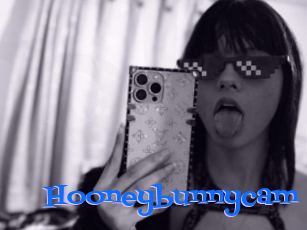 Hooneybunnycam