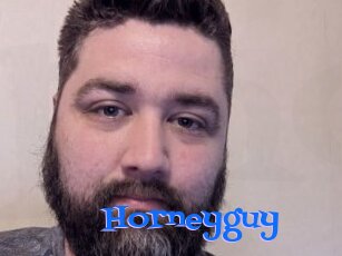 Horneyguy