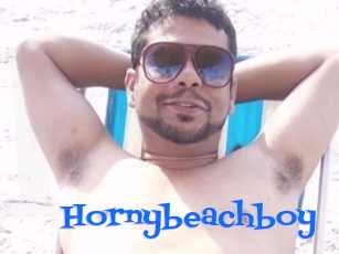 Hornybeachboy