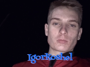 Igorkoshel