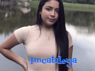 Imcataleya
