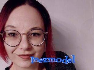 Inezmodel