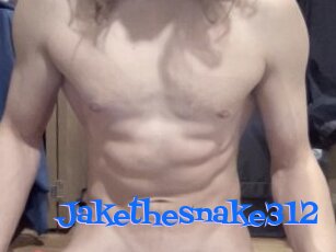 Jakethesnake312