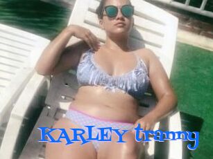 KARLEY_tranny