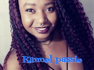 Kannel_passie