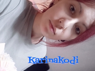 Karinakodi