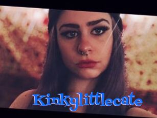 Kinkylittlecate