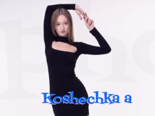 Koshechka_a