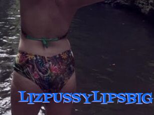 LIZPUSSYLIPSBIG