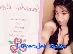 Lavender_Rose