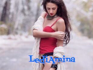 LediAmina