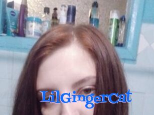 LilGingerCat