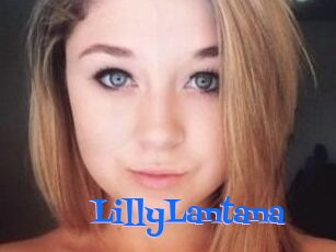 LillyLantana