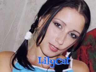 Lily_Cat_