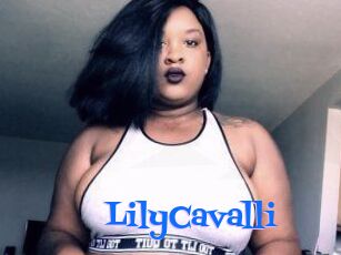 Lily_Cavalli
