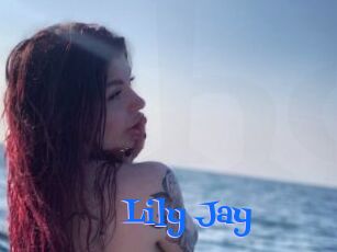 Lily_Jay