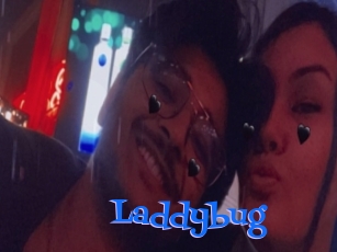 Laddybug