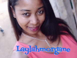 Laylahmorgane