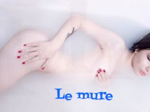 Le_mure