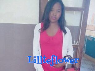 Lillteflower