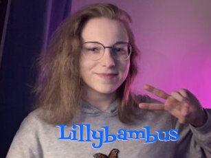 Lillybambus
