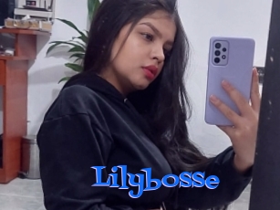 Lilybosse