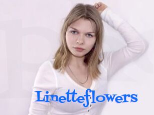 Linetteflowers