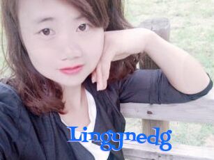 Lingynedg