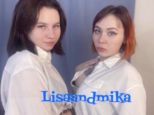 Lisaandmika