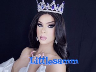 Littlesamm