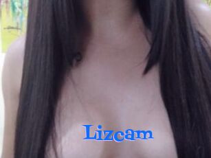 Lizcam