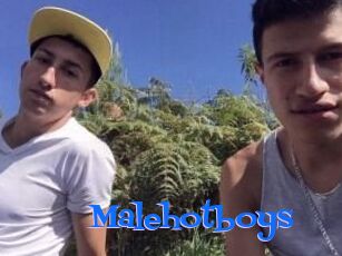 Malehotboys