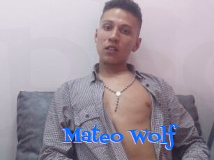 Mateo_Wolf