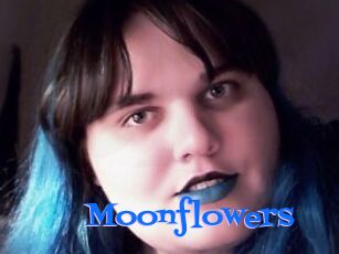 Moonflowers