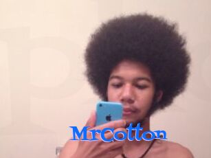 MrCotton