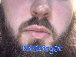 MrHairyJr